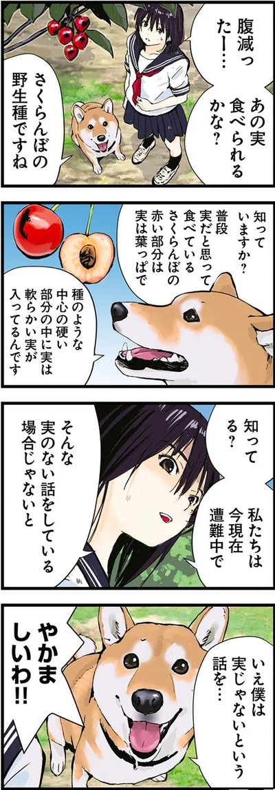 実のない話をしている場合じゃないと