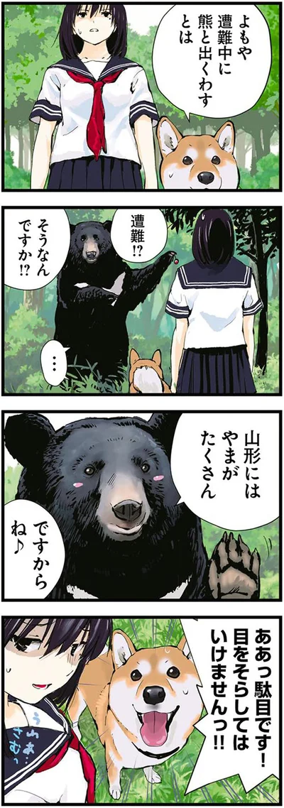 山形にはやまがたくさん