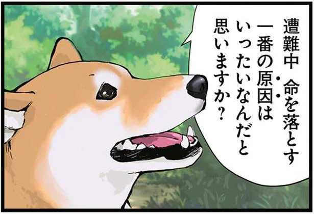 遭難中命を落とす一番の原因