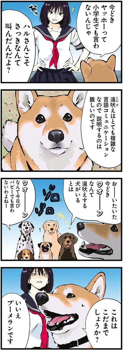 ブーメランです