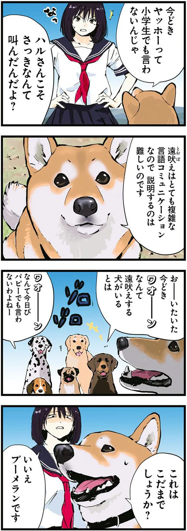 ブーメランです