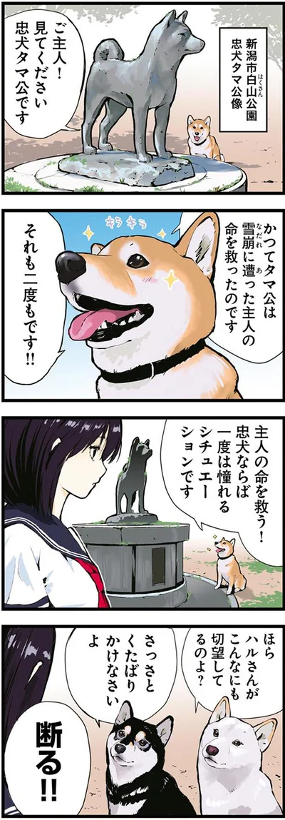 忠犬タマ公