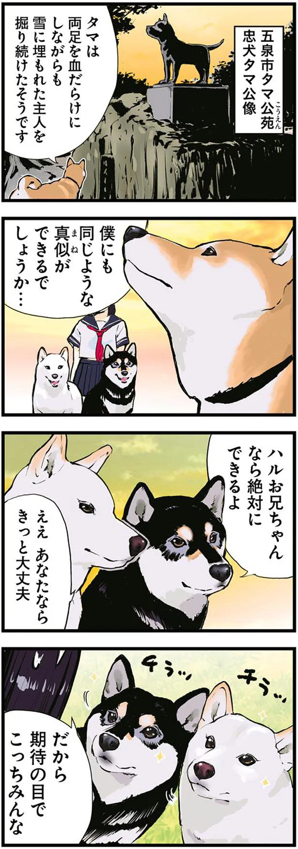 期待の目