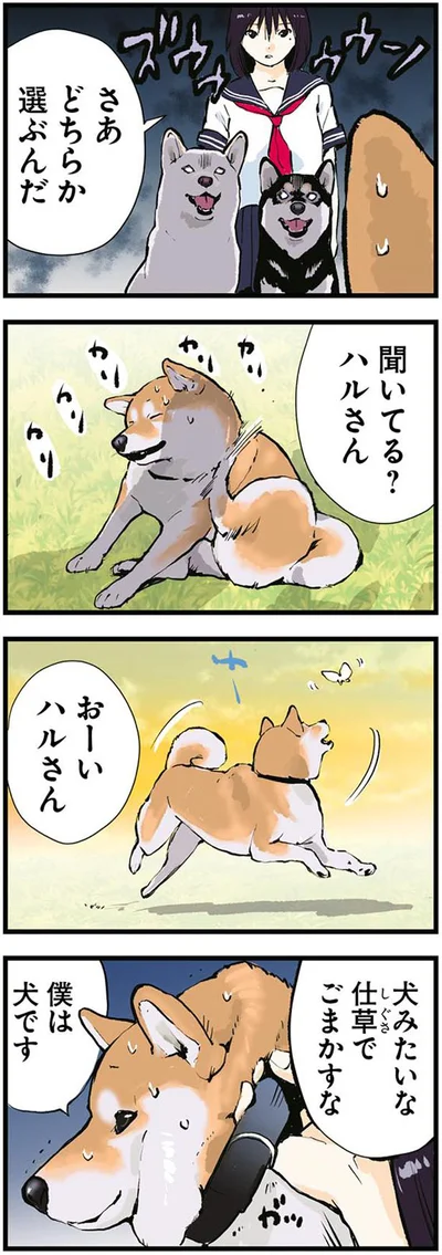 どちらか選ぶんだ