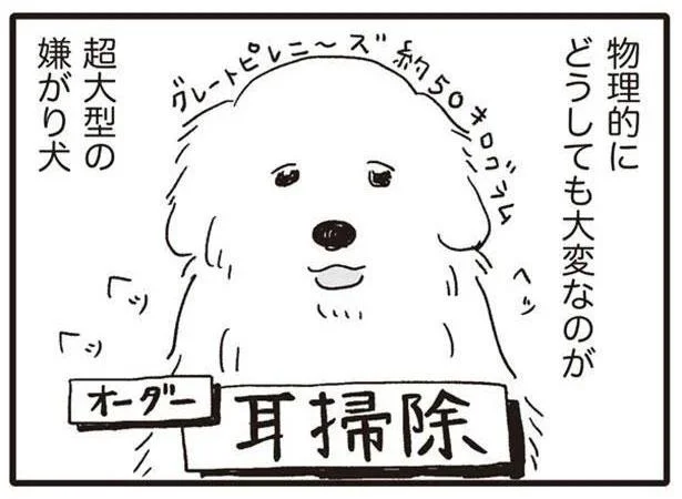 スタッフ総出 体重50キロ超え 超大型犬の診察は難易度マックス いぬねこ動物病院日記 3 レタスクラブ