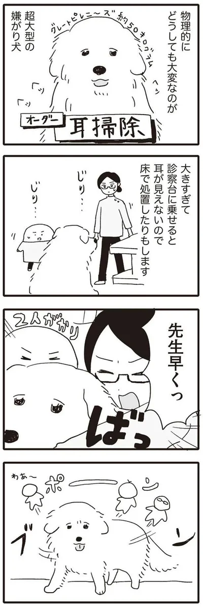 先生早くっ