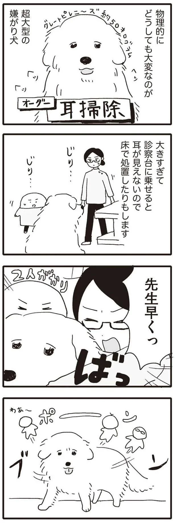 先生早くっ