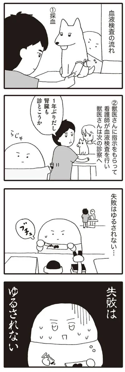 失敗はゆるされない…