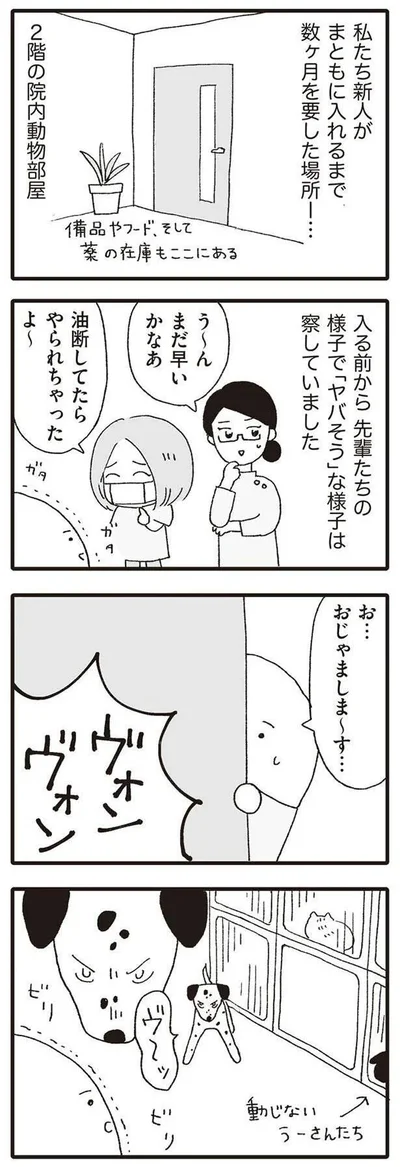 お…おじゃましま～す…