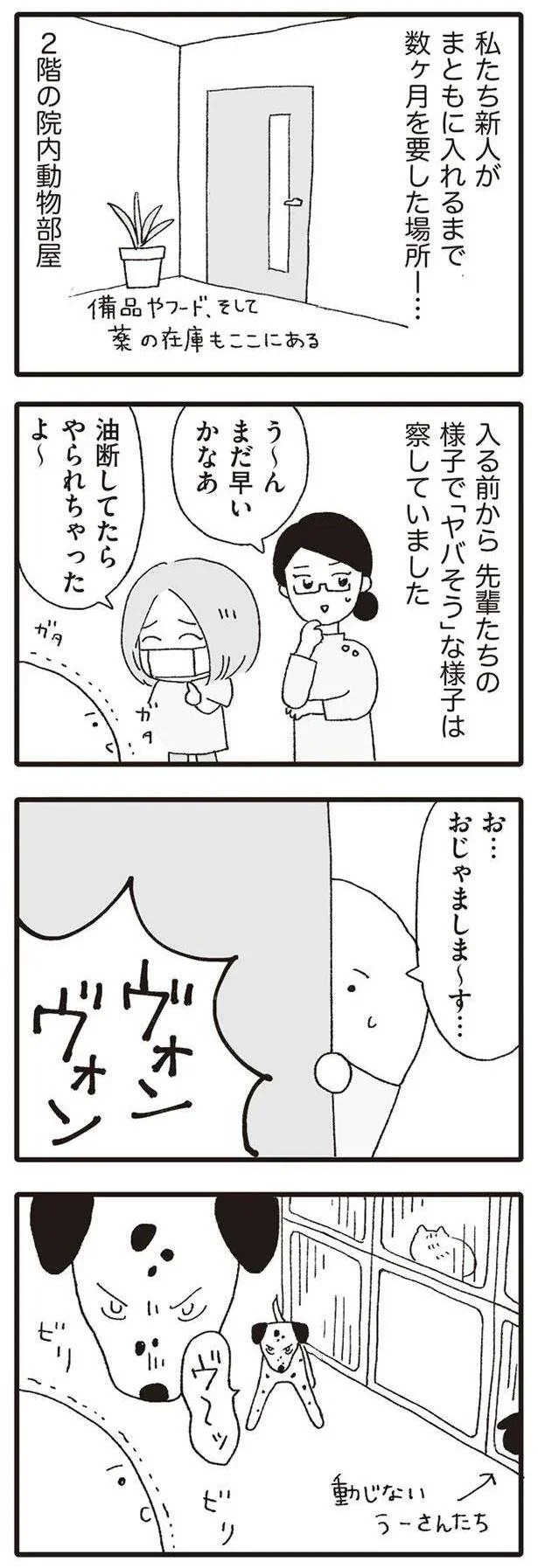 お…おじゃましま～す…