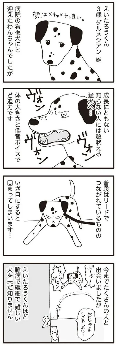成長にともない　知らない人には超吠える猛犬へ…
