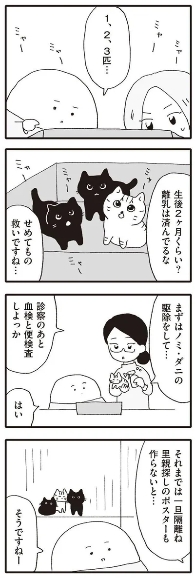 里親探しのポスターも作らないと…