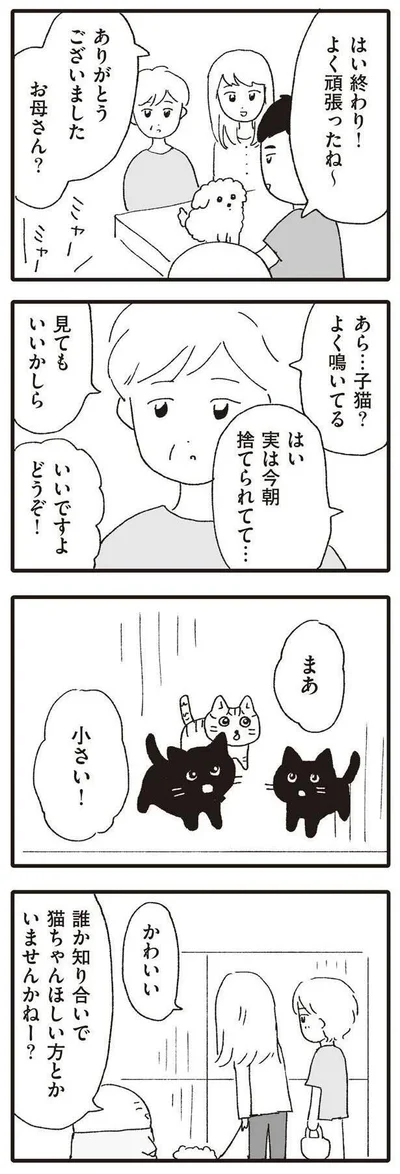 あら…子猫？
