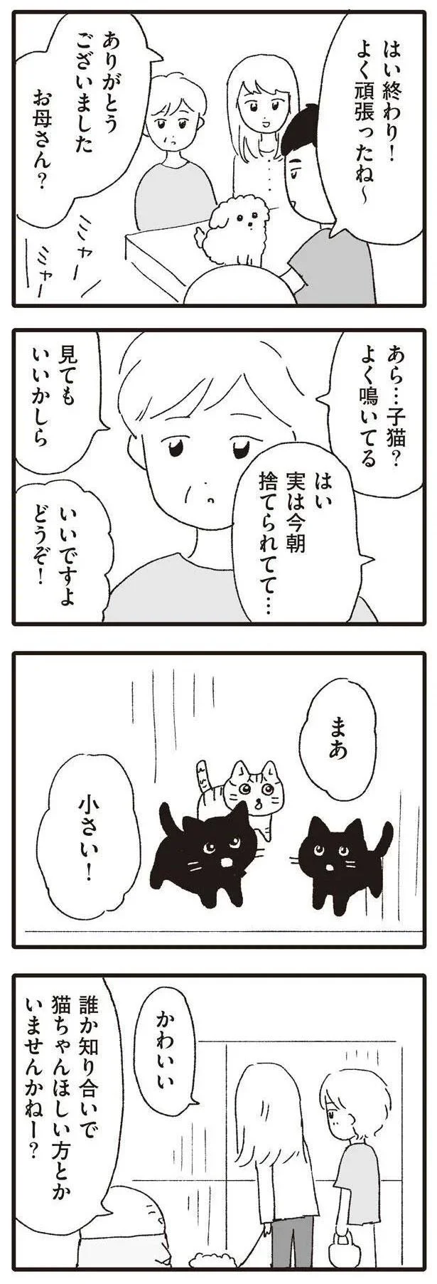 あら…子猫？