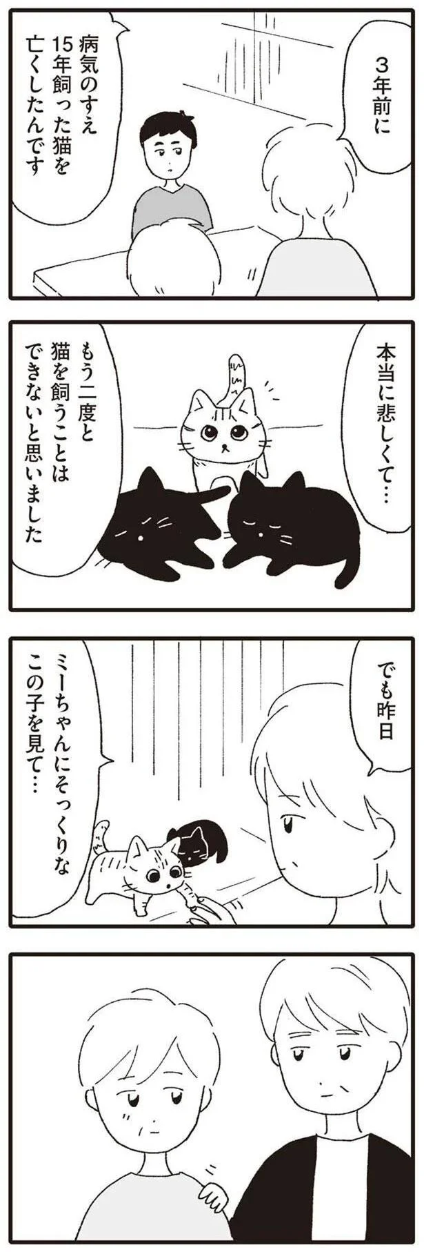 もう二度と猫を飼うことはできないと思いました