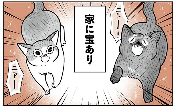 我が家の至宝！温和なジョナとツンデレのサン。ねこがいるから今日も仕事を頑張れる／こねこのドレイ（1）