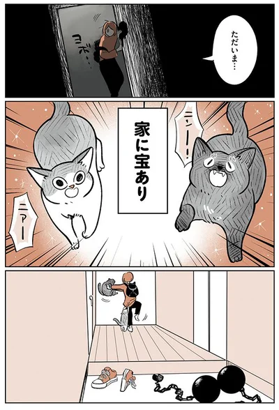 ただいま