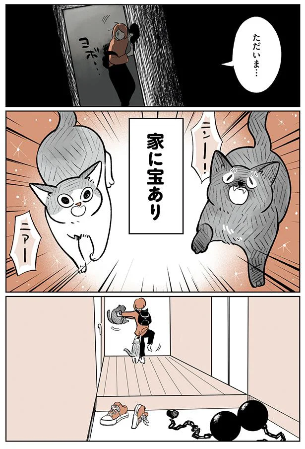 ただいま