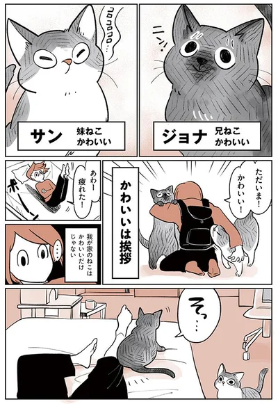 かわいいは挨拶