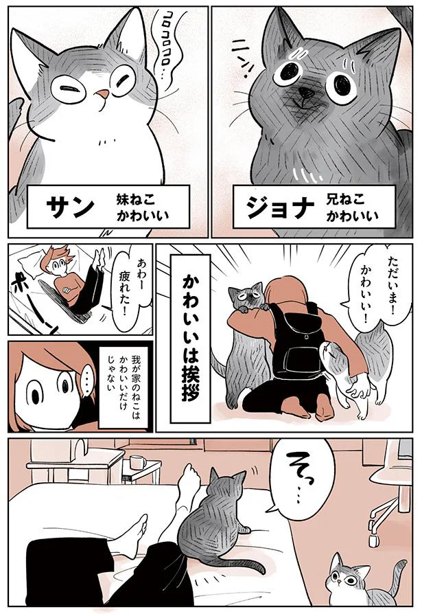 かわいいは挨拶