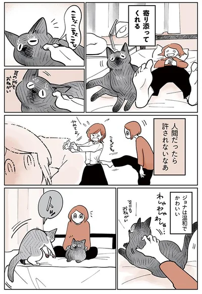 寄り添ってくれる