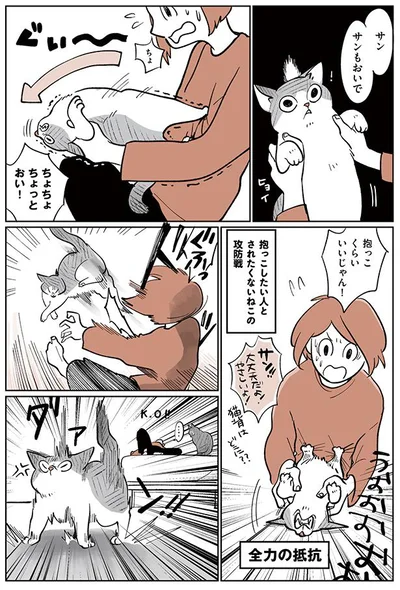 全力の抵抗