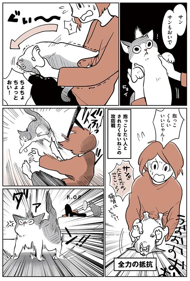 全力の抵抗