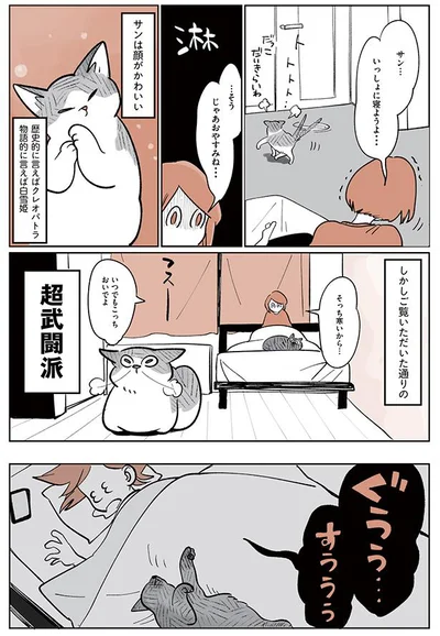 超武闘派