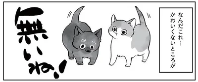 かわいくないところが無いね！
