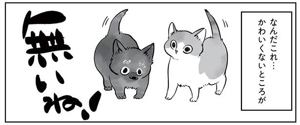 かわいくないところが無いね!