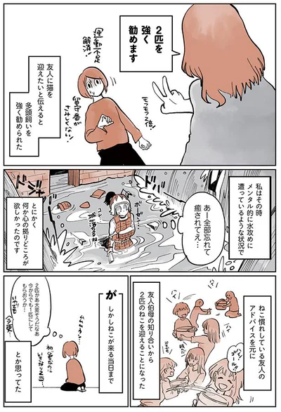 2匹を強く勧めます