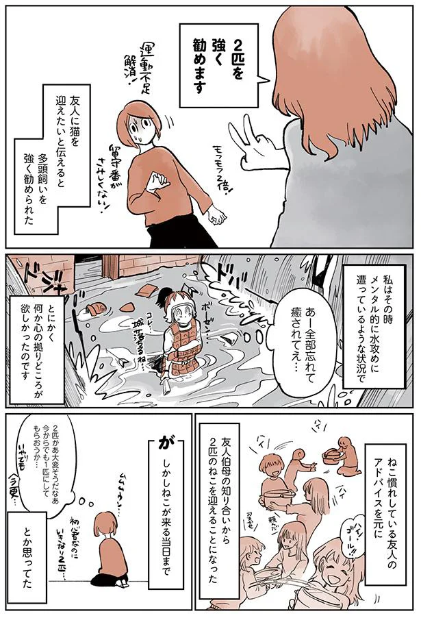 2匹を強く勧めます