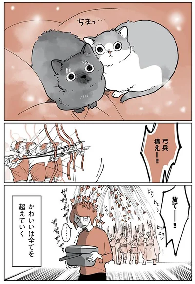 かわいいは全てを超えてゆく