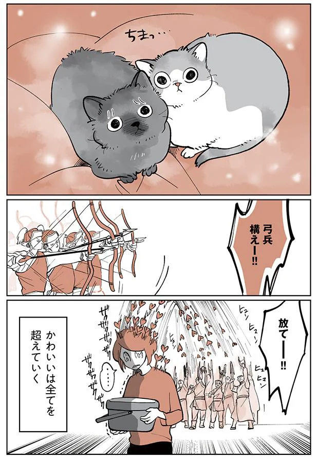 かわいいは全てを超えてゆく