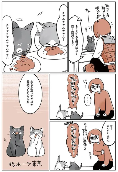 長旅でしたもんね