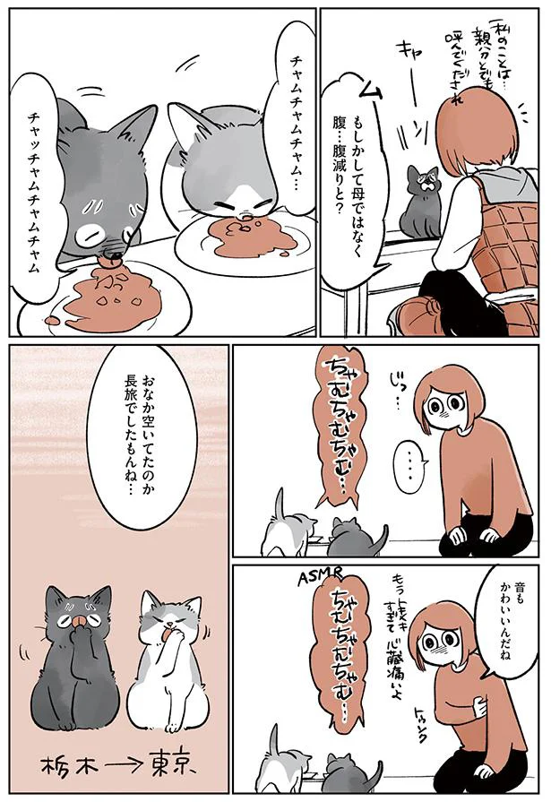 長旅でしたもんね