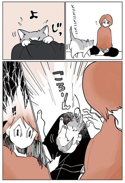 ころりん