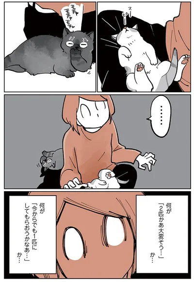 何が「2匹かあ大変そう…」か…