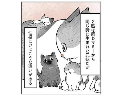 正確にけっこうな違いがある