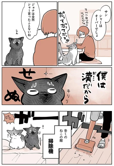 多くの猫の敵、掃除機