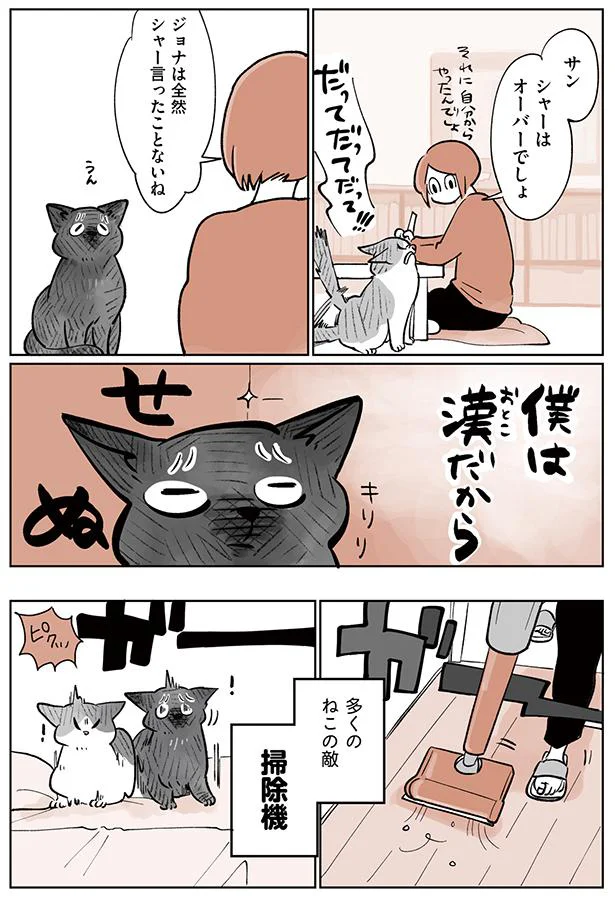 多くの猫の敵、掃除機