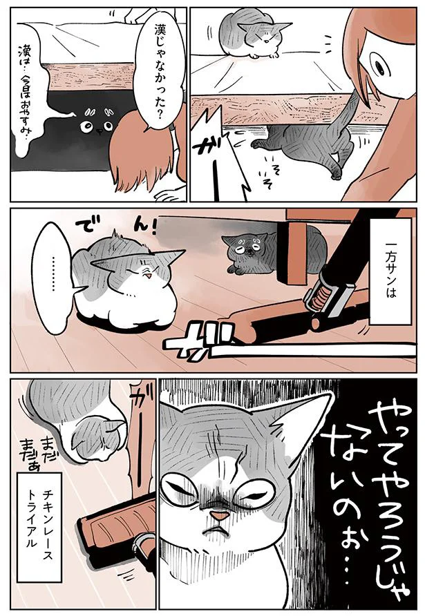 やってやろうじゃないのぉ…