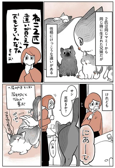 違いが見えておもしろい