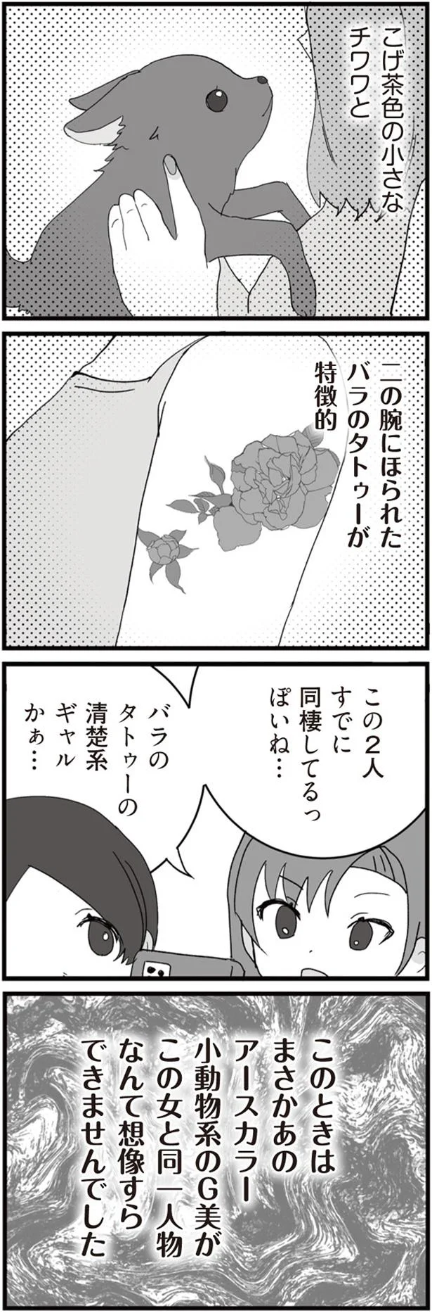 こげ茶色の小さなチワワ