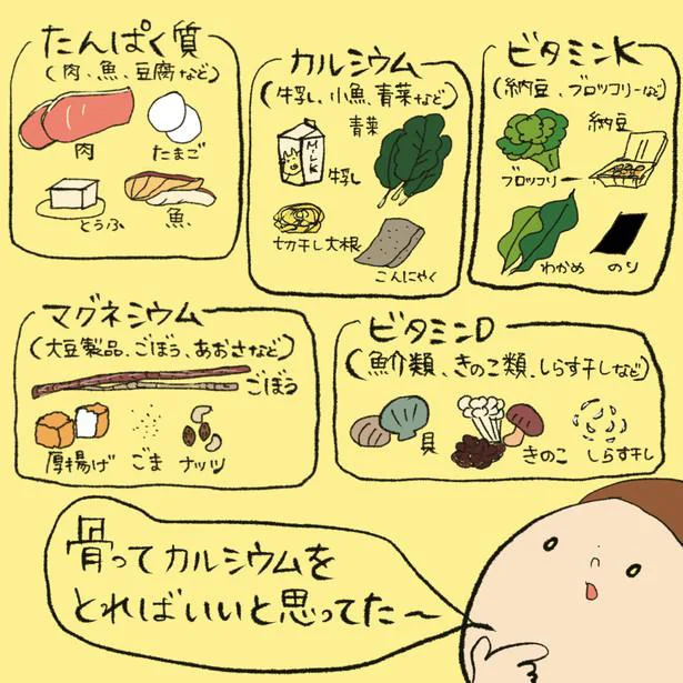 骨を作る栄養素