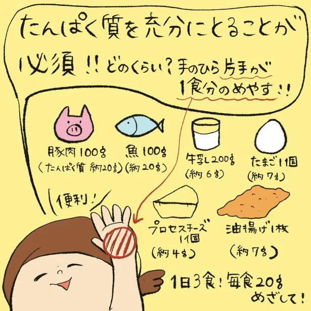 たんぱく質を充分にとることが必須!!