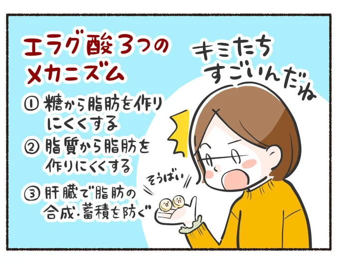 エラグ酸のメカニズム