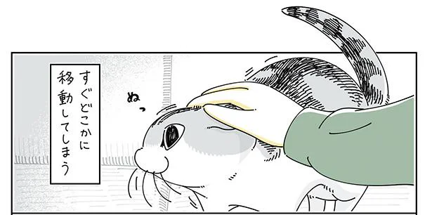 すぐどこかに移動してしまう