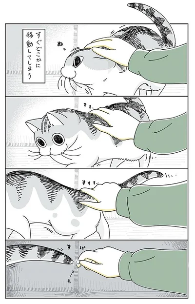 すぐどこかに移動してしまうけど…