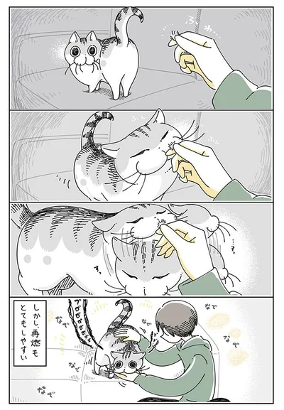 再燃もとてもしやすい